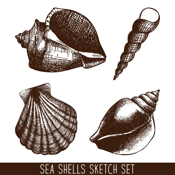 Hand drawn pattern with sea shells - Vektör, Görsel