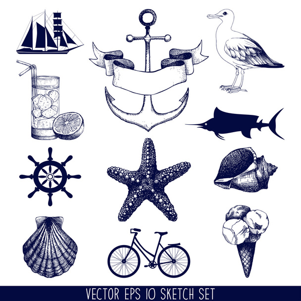 set of decorative sea elements - Vector, imagen