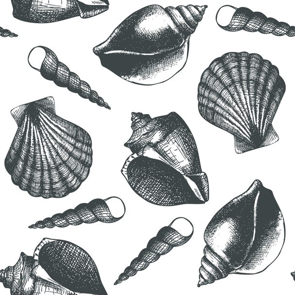 Hand drawn pattern with sea shells - Vektör, Görsel