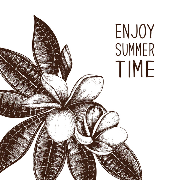 enjoy summer time with Plumeria frame - Vector, Image