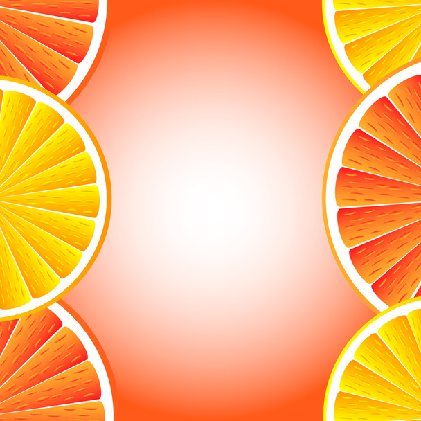 Citrus fruit background - Vector, afbeelding