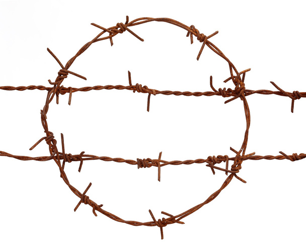 Rusty barbed wire - Photo, Image