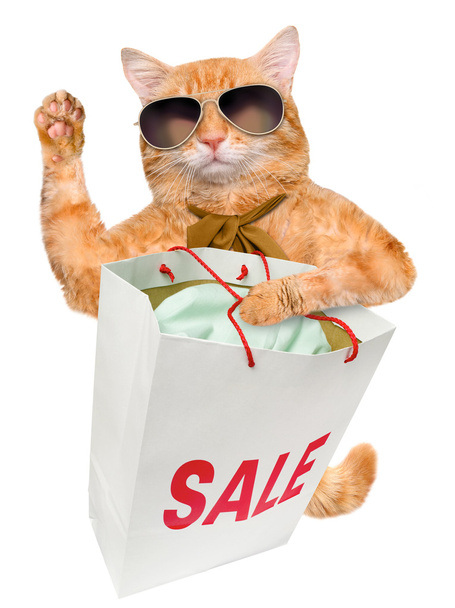 Cat. Shopper. Sales. - Φωτογραφία, εικόνα