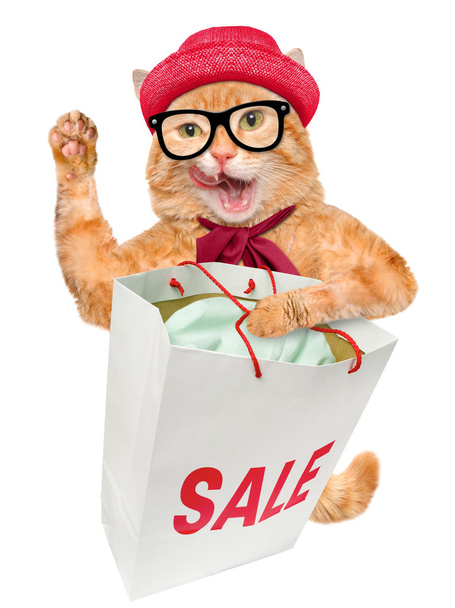 Cat. Shopper. Sales. - Φωτογραφία, εικόνα