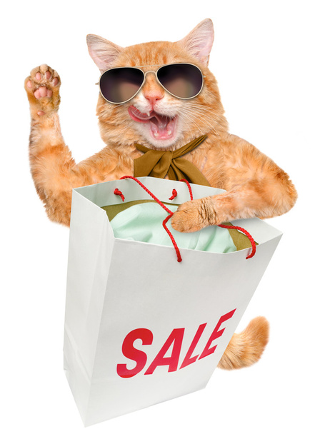 Cat. Shopper. Sales. - 写真・画像
