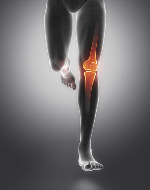 Knee anatomy of running human - Fotoğraf, Görsel