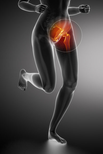 Mujer corriendo con anatomía de cadera
 - Foto, Imagen