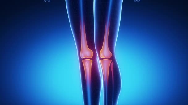 Knie skeleton x-ray scan in blauw - Video