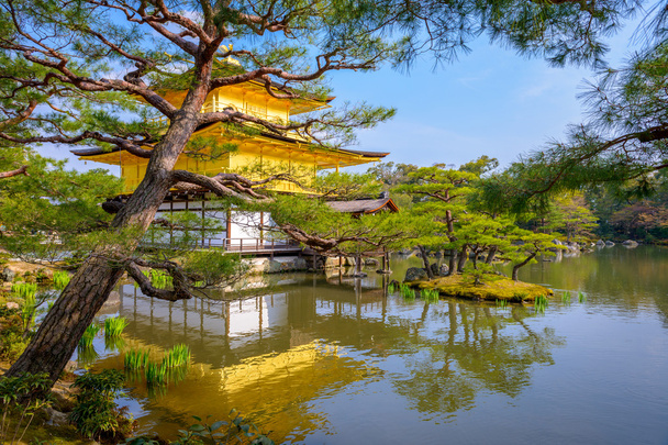 Кіото, Японія золотистий павільйон - Фото, зображення