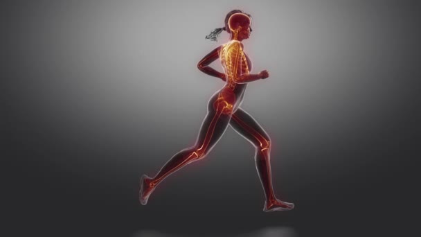 Τρέχει γυναίκα αργή κίνηση με σκελετό στο βρόχο - Πλάνα, βίντεο