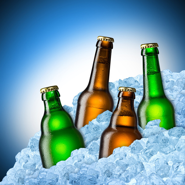 üveg sör a jégen - Fotó, kép