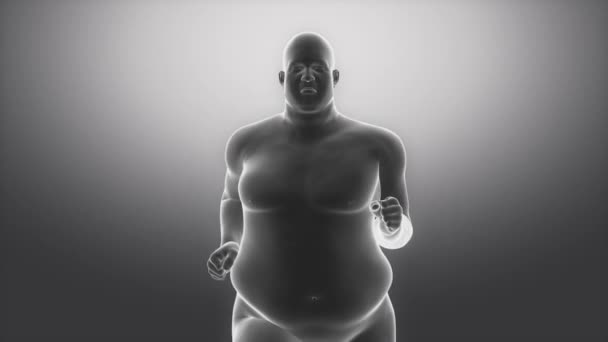Avec le sport à la santé style de vie - concept d'obésité
 - Séquence, vidéo