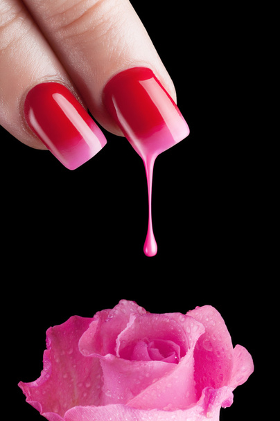 bela manicure
 - Foto, Imagem