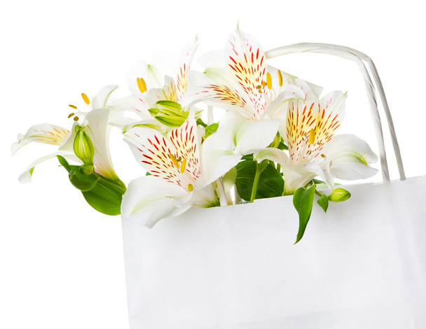 πανέμορφο μπουκέτο λευκά λουλούδια για την ημέρα της μητέρας - Φωτογραφία, εικόνα