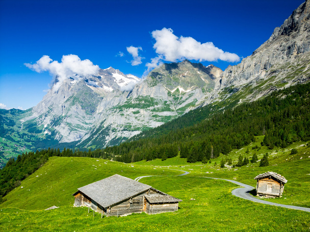 Grindelwald, Svájc - Fotó, kép
