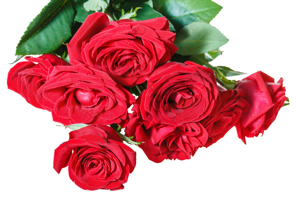 bunch of red roses isolated on white - Fotó, kép