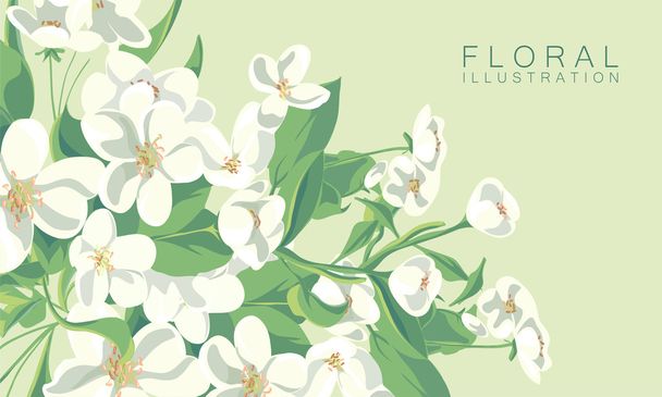Illustration florale
 - Vecteur, image