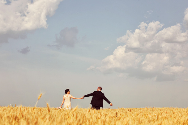 Bride and groom in field - Foto, imagen