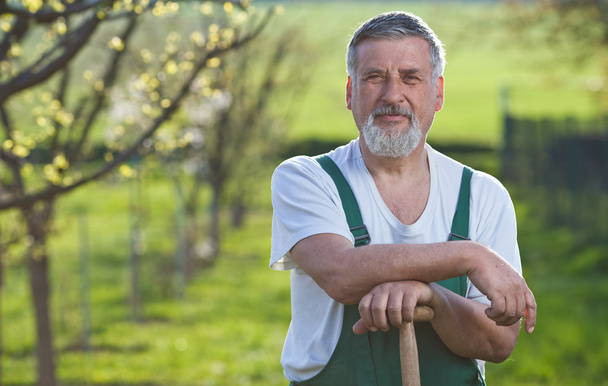 Portrait of a senior man gardening in his garden - Zdjęcie, obraz