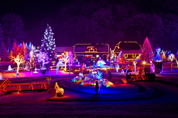 Christmas fantasy - trees and houses in lights - Photo, Image