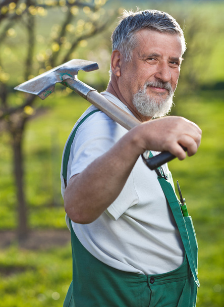 Portrait of a senior man gardening in his garden - Фото, изображение
