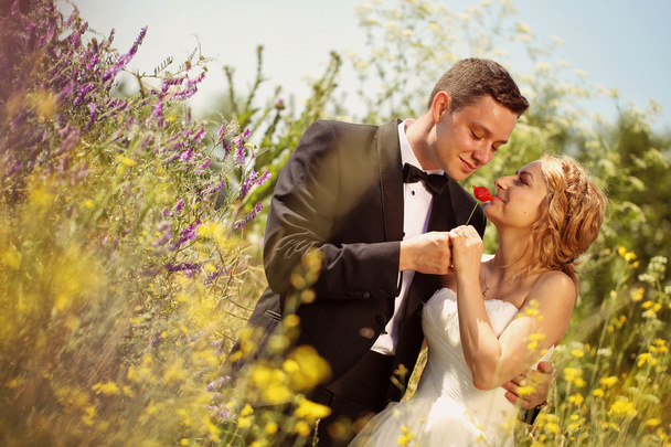 Sposa e sposo baciare la sua sposa in campo
 - Foto, immagini