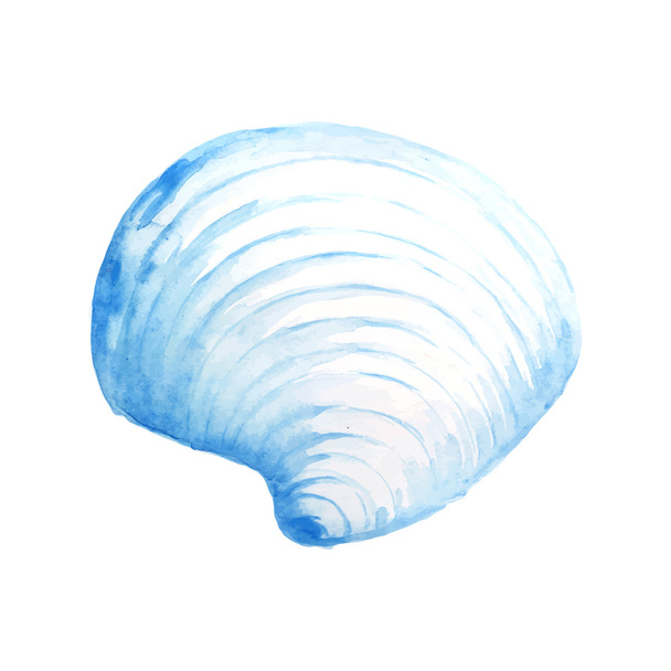 Seashell watercolor illustration. - Vektör, Görsel