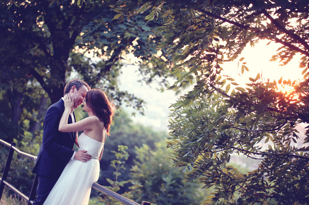 Bride and groom kissing in the sunlight - Фото, изображение