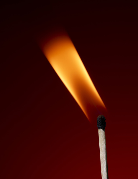 Macro shot of a flaming - Photo, Image