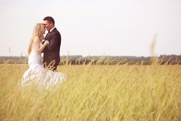 Bride and groom in the fields - Fotoğraf, Görsel