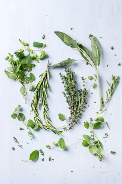 Assortment of fresh herbs - Фото, изображение