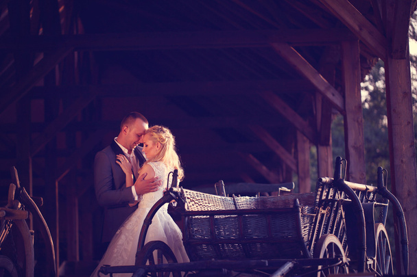 Bride and groom near carriage - Photo, Image
