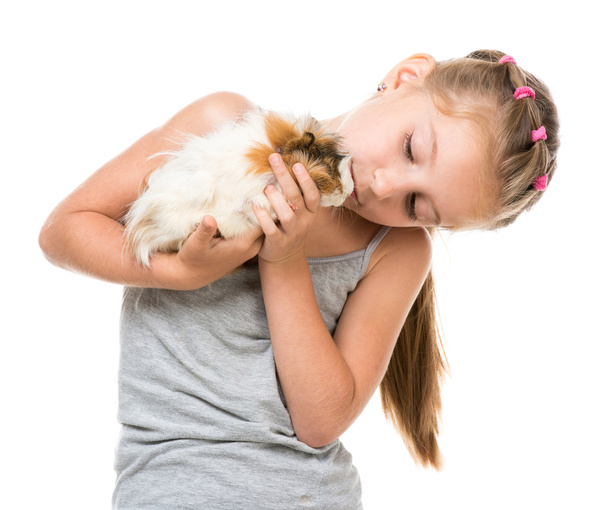 Little girl holding a guinea pig - Foto, Imagen