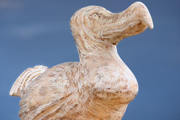 Dřevěný pták Dodo - typický suvenýr od ostrova Mauricius. Dodo je vyhynulý nelétavý pták, který byl endemický na ostrově Mauricius. - Fotografie, Obrázek