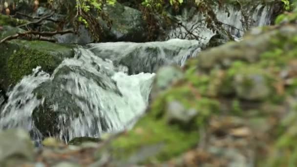 Watervallen achter stenen - Video