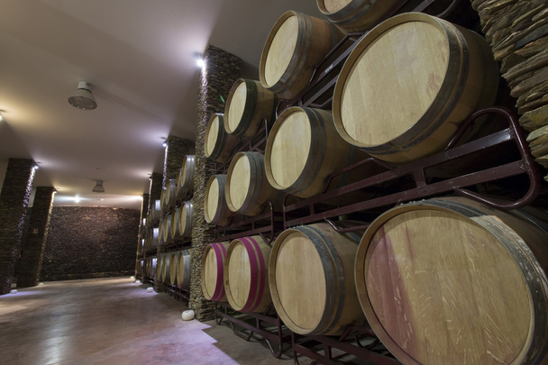 lange kelder met wijn vaten - Foto, afbeelding