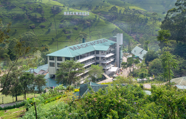 Mackwoods labookellie τσάι εργοστάσιο και τσάι κέντρο, Σρι Λάνκα - Φωτογραφία, εικόνα
