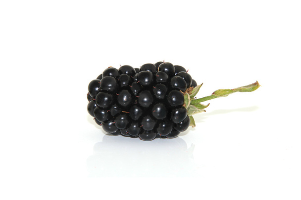 Blackberry no fundo branco
 - Foto, Imagem