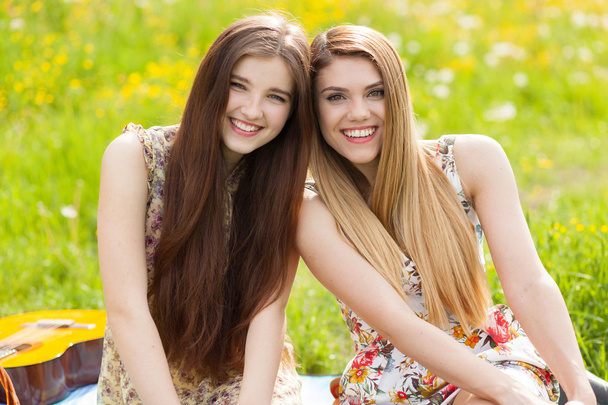 Dos hermosas mujeres jóvenes en un picnic
 - Foto, Imagen