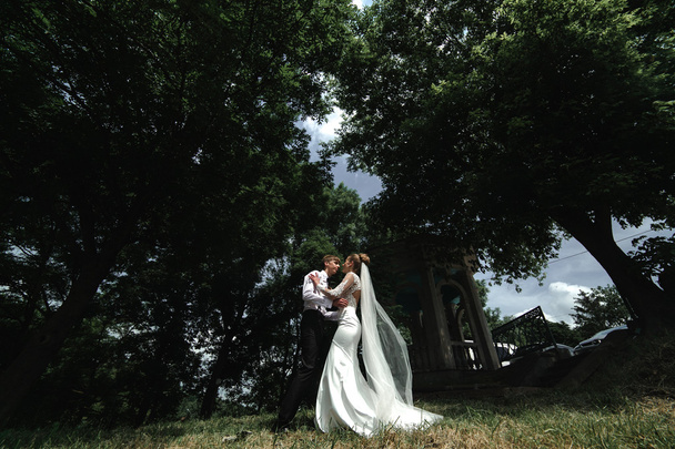 sposa e sposo nella foresta - Foto, immagini