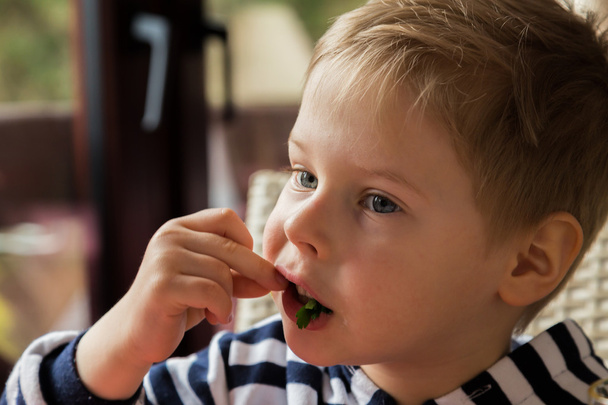 boy eating breakfast and greens - Фото, зображення