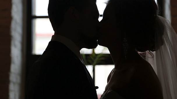 Nowożeńcy stanąć obok okna - Materiał filmowy, wideo