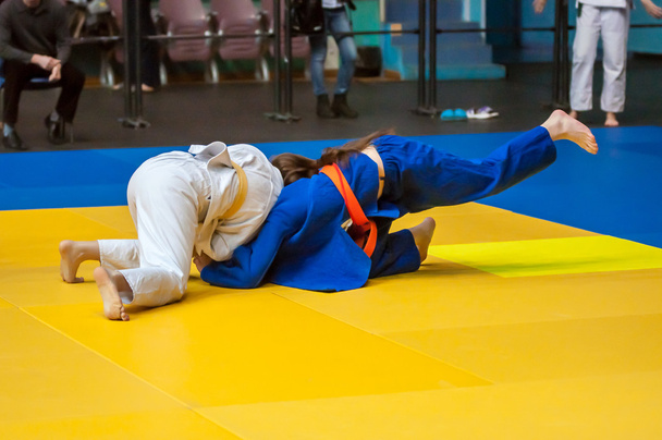 Girls in Judo - Photo, Image