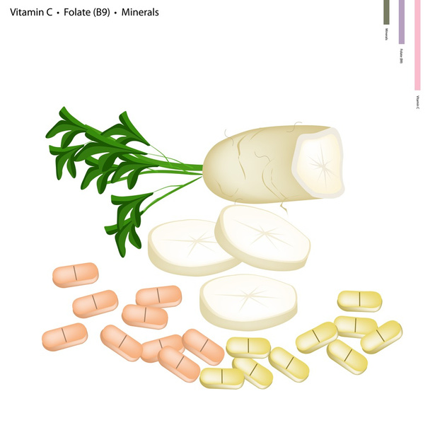 Ravanello di Daikon con vitamina C, B9 e minerali
 - Vettoriali, immagini