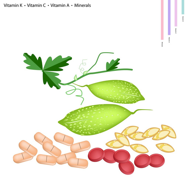Balsam Pear met vitamine K, C, A en mineralen - Vector, afbeelding