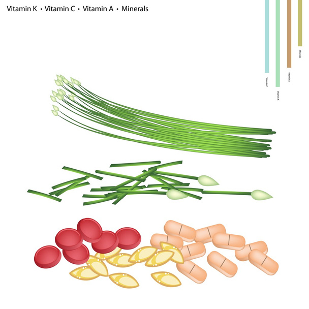 Knoflook bieslook met vitamine K, C, A, B9 en mineralen - Vector, afbeelding
