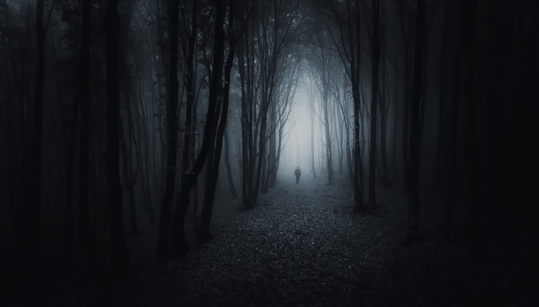 forêt avec homme mystérieux marchant sur un chemin
 - Photo, image