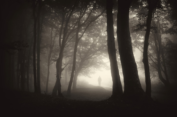 mies kävelee pimeässä metsässä
 - Valokuva, kuva