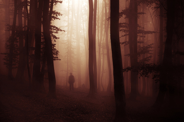 mies siluetti pelottava metsä
 - Valokuva, kuva