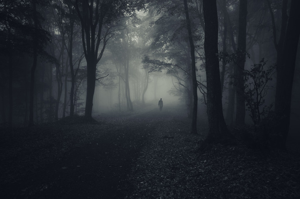 sylwetka człowieka w lesie spooky - Zdjęcie, obraz